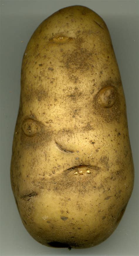 Angry Mr Potato Head Found This Inside A Bag Of Potatoes Flickr