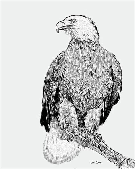 Bald Eagle Digital Art By Larry Linton