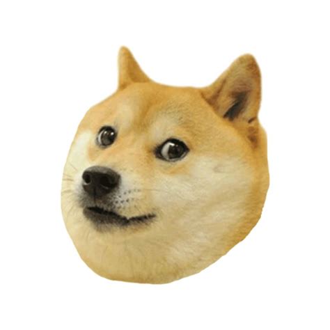 Doge Shibe Meme Sticker Animales Y Mascotas Mascotas Animales