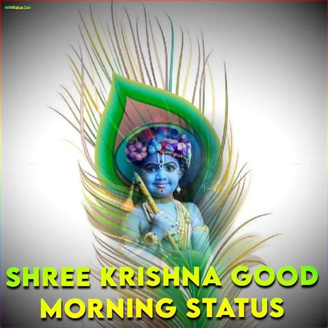 Shree Krishna Good Morning Status Video Download Full Screen