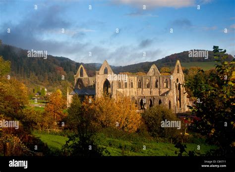 Tintern Abbey In Autumn At Dawn With Early Morning Mist In Background