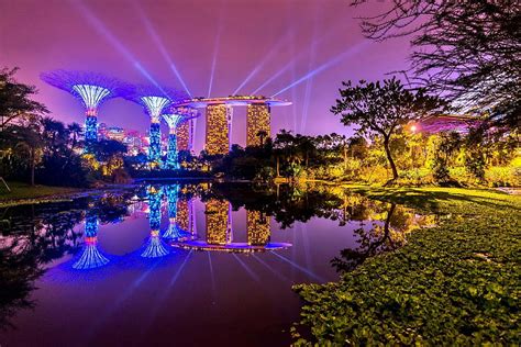 Other Singapore City Night Lake Sky Splendor Brright Colors Tree