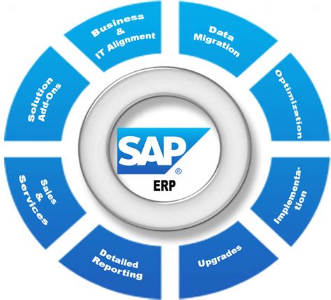What Is Sap Definition And Meaning Goodworklabs