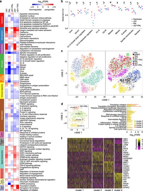 G1 S Pathways Are Upregulated In Jq1 Palbociclib Resistant Cells A