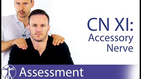 Cranial Nerve 11 Accessory Nerve Assessment For Physiotherapists