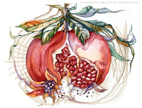 Pomegranate Illustration By Irina Watercolor Fruit Watercolor