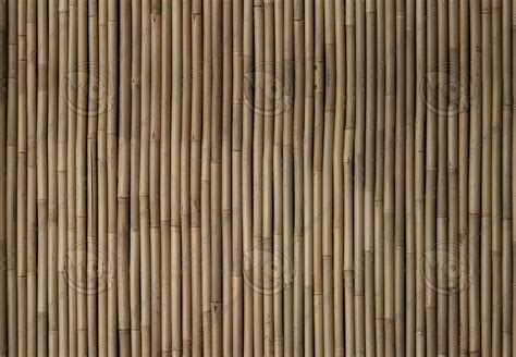 Texture Jpeg Bamboo Fence Tileable