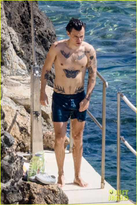 Harry Styles Shirtless Photoshoot