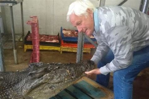 Descoperirea Făcută De Un Fermier în Stomacul Unui Crocodil Pe Care L A