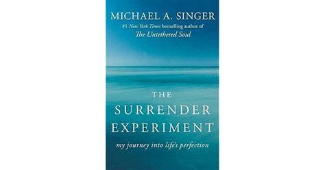 The Surrender Experiment My Journey Into Lifes Perfection By Michael
