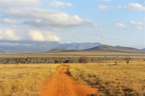 Premium Photo Savannah Landscape In The National Park In Kenya Africa