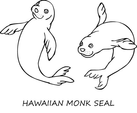 Monk Seal Coloring Page Animals Town Animals Color Sheet Monk