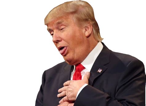 Donald Trump Png Transparent Image Download Size 1007x732px