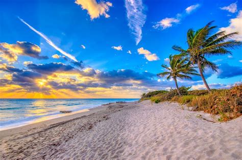 ¿qué Hacer En Palm Beach El Lujoso Destino De Florida