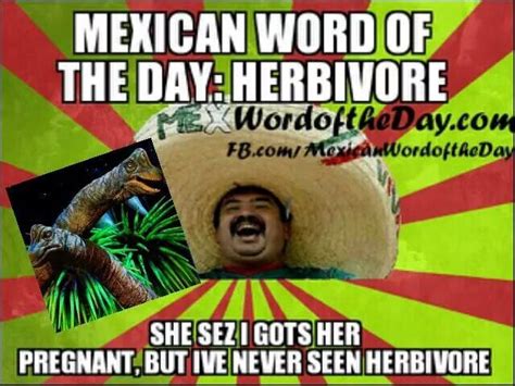 Watch popular content from the following creators: Mexican word of the day | Mexican words, Funny mexican ...