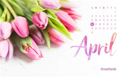 April 2017 Tulips Desktop Calendar Free April Wallpaper