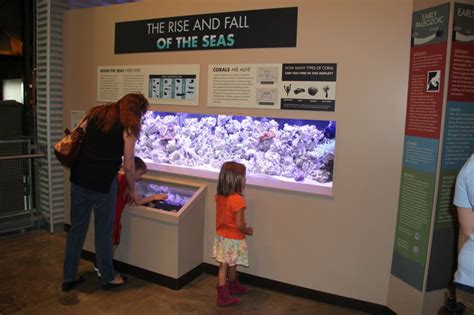 New Exhibit At The Great Lakes Aquarium Lake Superior Magazine