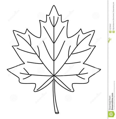 2021 la mejor seleccin online de dibujos para colorear. Line Art Black And White Maple Leaf Stock Vector ...
