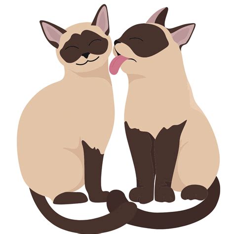 Why Do Cats Lick Each Other The Fascinating Reasons Why