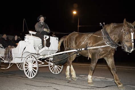 Salt Lake Council Members Consider Horse Drawn Carriage Ban The Daily