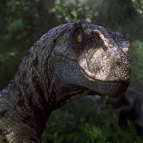 Collection 96 Pictures Pictures Of Velociraptors From Jurassic Park