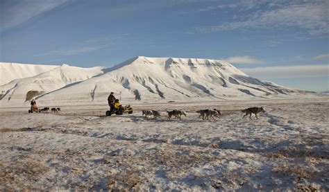 Dogsledding On Wheels Svalbard Villmarkssenter Dog Sledding In