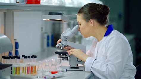 Female Agronomist Using Microscope In Laboratory High Res My XXX Hot Girl