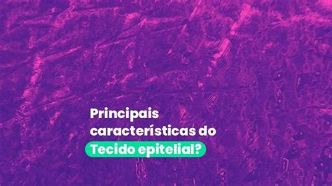 7 Principais Características Do Tecido Epitelial Resumo Completo