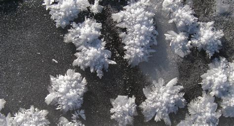 Frost Flowers Arctic Wallpapers High Quality Download Free