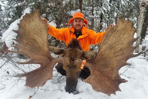 Moose Jaw Hunter Bags Biggest Moose In Saskatchewan