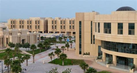 جامعة الإمام عبدالرحمن بن فيصل توفر 8 دورات مجانية للجنسين عن بُعد. تخصصات جامعة الإمام عبدالرحمن بن فيصل | موقع معلومات