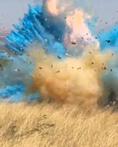 Gender Reveal Party Led To A Wild Fire How Gender Reveal Parties Are