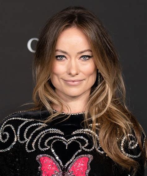 Olivia Wilde Long Straight Brunette Hairstyle With Blonde Highlights