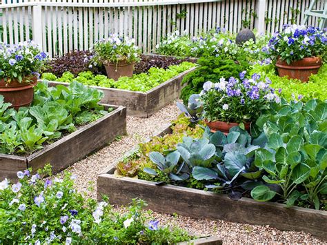 Learn How To Build Raised Vegetable Beds Hgtv