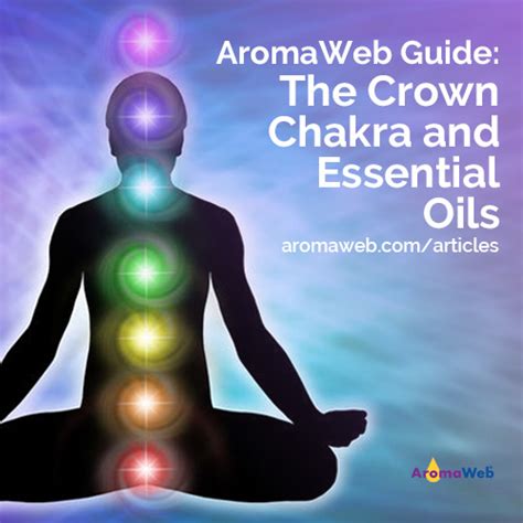 Balancing The Crown Chakra With Essential Oils And Aromatherapy Aromaweb