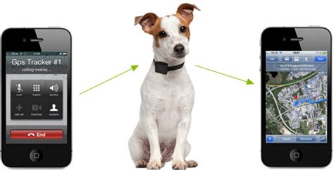 Dies gilt auch dann, wenn er sich außerhalb ihrer sichtweite aufhält. GPS SÄNDARE TILL HUNDEN - Hundvänliga Stockholm