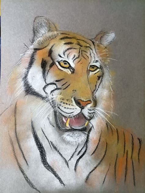 Dessin Le Tigre