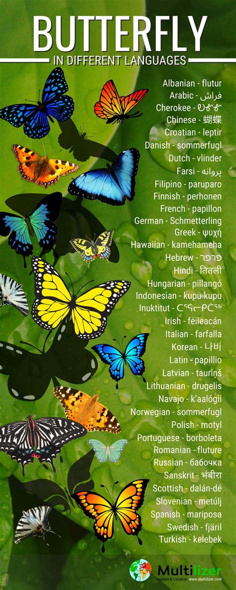 Learn 50 ways to say beautiful in different languages to impress your friends, family, or significant other and leave them smiling. Butterflies are beautiful. So are the words that say ...