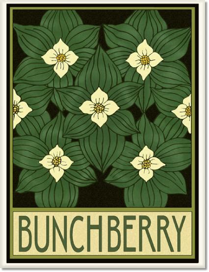 Bunchberry Tile by Wildflower Graphics | Art deco flowers, Art nouveau ...