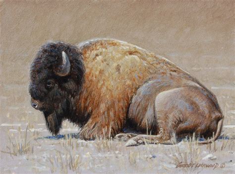 Bison George Lockwoods Daily Paintings Bison Study 6x8 Sold