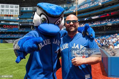 Toronto Blue Jays Mascots Ace Photos And Premium High Res Pictures
