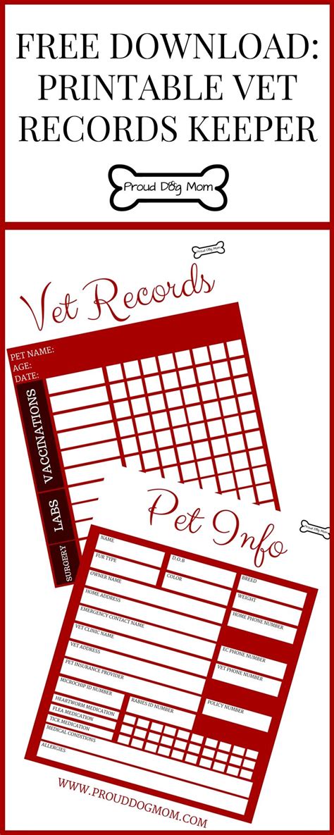 Free Download Printable Vet Records Keeper Diy Dog Stuff Pet Health