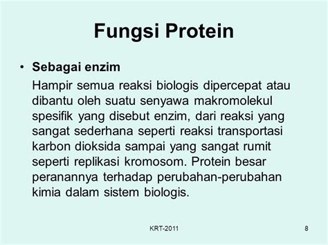 Protein Synthesis Krt Ppt Download