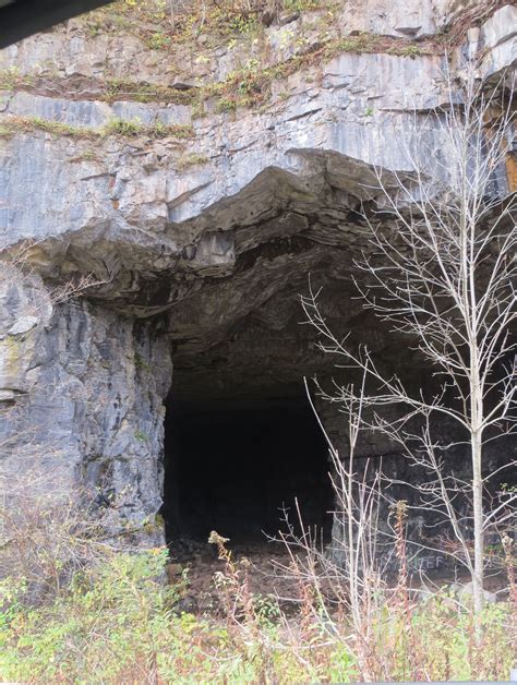 Bowden Cave Outside Of Elkins West Virginia West Virginia History West Virginia Travel West
