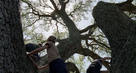 The Tree Of Life 2011 Director Terrence Malick Movies In Color