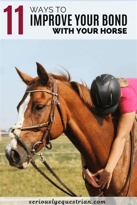 11 Ways To Improve Your Bond With Your Horse Seriously Equestrian