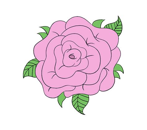 Easy pictures to draw of flowers lets learn how to draw a rose head. How to Draw a Rose Flower | Easy Drawing Guides