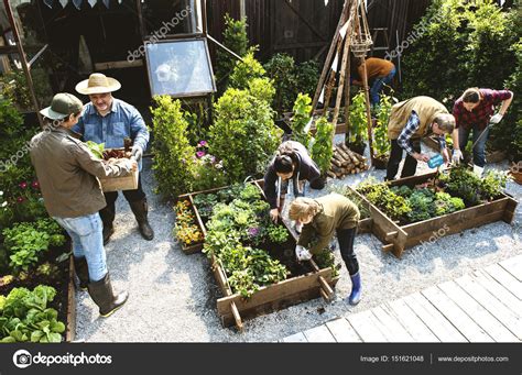 People Gardening On Backyard Together Stock Photo By ©rawpixel 151621048