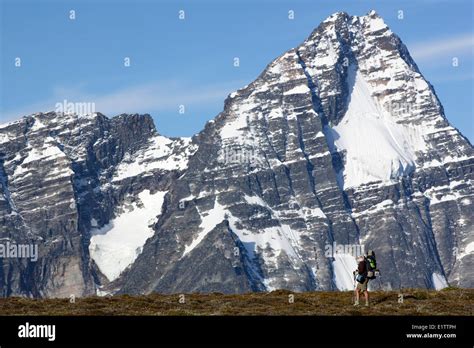 Backpacker In Front Of Mt Sir Donald Selkirk Mountains Glacier
