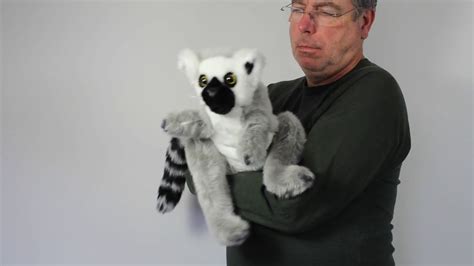 3159 Ring Tailed Lemur Katta Handpuppe Folkmanis Puppets Youtube